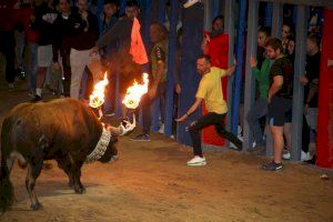 GALERIA | Els David's triunfan en Vila-real con la noche de toros embolados por Sant Pasqual