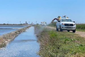 La Diputació de Castelló intensifica la lluita contra els mosquits i demana col·laboració a ajuntaments i ciutadania