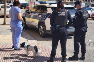 Alfafar impulsa el censo canino como medida de protección y de limpieza vial