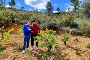 Un proyecto evalúa la recuperación de campos abandonados en Venta del Moro para prevenir incendios