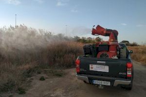 El departament de Sanitat intensifica les labors de prevenció per a controlar la proliferació de mosquits