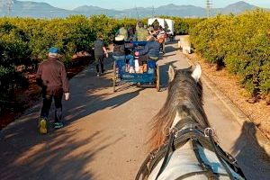 Nules organitza la seua primera romeria: a cavall, amb carro o a peu