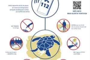 Gandia se suma a la campanya ‘Alerta tortuga’ de l’ONG Xaloc i la Universitat de València