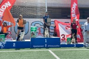 Grandes resultados del Club Agility La Nucía en la liga valenciana