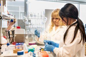 Investigadores valencianos desarrollan un 'nanokiller' inteligente contra bacterias y otros patógenos