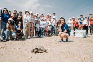 La Fundación Oceanogràfic, Cruz Roja CV y AGRADO sueltan una tortuga recuperada en Sagunto