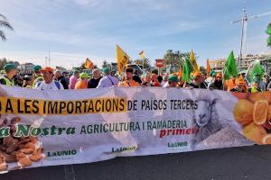 Insten Ports de l'Estat a no aprovar plans dels ports que bonifiquen productes agroalimentaris importats no deficitaris a Espanya