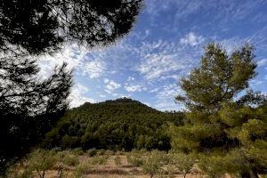 Caprala tendrá una balsa contra incendios