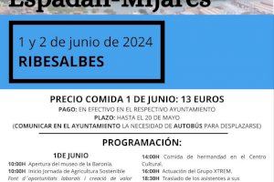 Ribesalbes acoge este sábado 1 de junio el Día de la Mancomunidad Espadán Mijares y la XIII Feria del Comercio y Artesanía