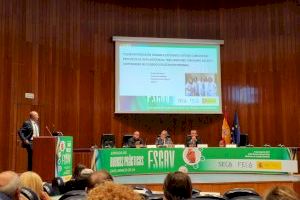 Ernesto Dalli Peydró Premio a la Excelencia en el marco de la Estrategia en Salud Cardiovascular del Sistema Nacional de Salud