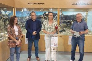 El Ayuntamiento de Ibi retoma el programa de “Rutes Màgiques pels paratges d’Ibi”
