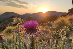 Una puesta de sol desde el castillo de Serra gana el 9º Concuro de fotografía Pasqual Navarro