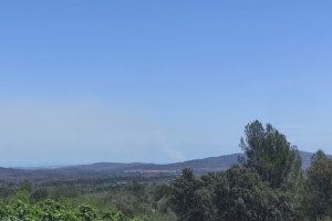 Tres incendios en la provincia de Castellón: Emergencias establece el nivel 1 en Càlig