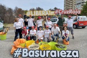 La Generalitat colabora en el proyecto Libera para la limpieza de L’Albufera y apuesta por la defensa de una naturaleza sin residuos