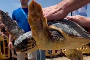 Día del Medio Ambiente: un centenar de vecinos ayudan a mantener limpia la playa de Puçol