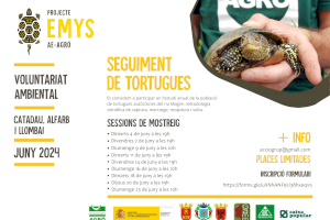 El Projecte Emys continua una temporada més amb l’estudi de les tortugues autòctones del riu Magre