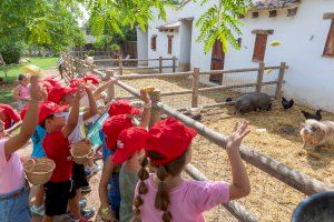 Paterna abre mañana las inscripciones de la Escuela de Verano municipal