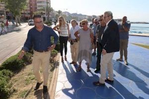 Benidorm invertirá 48.000 euros en la renovación de la jardinería del Paseo de Poniente