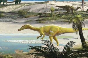 El nuevo dinosaurio de Castellón ya tiene nombre: El 'groguetsaurio'