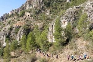 La FEMECV hace un llamamiento a la responsabilidad para evitar los incendios forestales