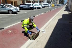 Nules intensifica la lluita contra els mosquits amb un nou producte més eficaç i durador