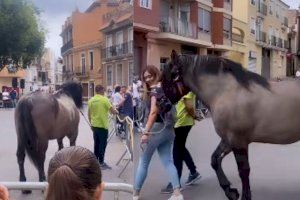 VIDEO | La cagà del matxo: la Vall d'Uixó posa de moda una altra modalitat festiva