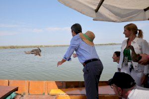 Carlos Mazón participa en la suelta de aves en el Parque Natural de La Albufera