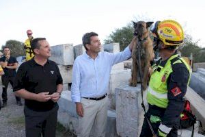 Carlos Mazón destaca a la Comunitat Valenciana como referente en bienestar animal y en la lucha contra el abandono de mascotas