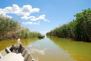 El Consell reclama 20 hm³ d'aigua a l'any per a l'Albufera i la seua declaració com a reserva de la biosfera