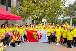 Vinaròs participa la final de los Juegos Castellonenses Adultos Mayores