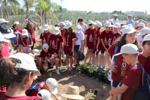 Escolares de Quart de Poblet estrenan los huertos urbanos para celebrar el Día del Medioambiente