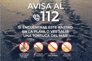 Alerta Tortuga Época de anidación de tortugas marinas en nuestras playas