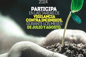 Voluntariado Medioambiental 2024