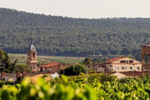 L’Ajuntament de Fontanars dels Alforins obri la licitació per a renovar les canalitzacions de fibrociment de la xarxa d’aigua potable