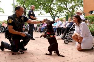 La Unidad Canina de la Policía Local de Onda incorpora a un nuevo efectivo y al agente perruno ‘Sami’