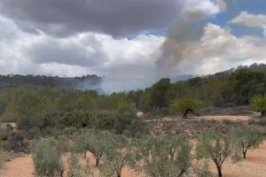 Incendio de Llíria (VOST CV)