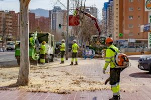 El PSOE de Benidorm exige que se licite ya el contrato de parques y jardines que lleva casi un año caducado