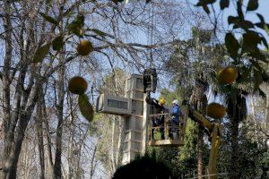 Vox quiere levantar otra cruz en el Parque Ribalta de Castellón tras la sentencia