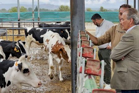 Aguirre destaca el modelo de éxito de la agricultura y ganadería del municipio de Bétera