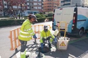 Borriana caça insectes i rosegadors davant l'augment de temperatures