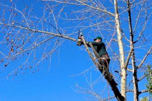 El PSOE de Villajoyosa plantea instalar contenedores para recoger los restos de poda de huertos y jardines