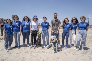 La campaña “Tortugas en el Mediterráneo 2024” estará presente en 80 municipios del Mediterráneo y Andalucía