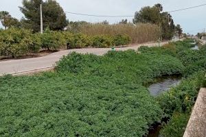 Los residentes de Nules protestan por el abandono del canal y urgen su limpieza, según recoge el PP