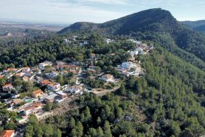 L’Ajuntament d’Alzira assumirà subsidiàriament la neteja de les franges perimetrals en zona forestal si els propietaris no complixen