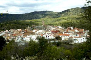 Aluvión de candidatos para llevar la nueva tienda de este pueblo de Castellón: "Por fin vemos la luz y logramos que este reto sea un hecho"