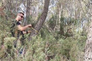 El Ayuntamiento identifica las zonas de actuación del proyecto Valencia Biovaloriza