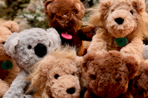 El Corte Inglés dona 18.000 euros a Fundación Aladina y amplía la colección de peluches Animaladinos