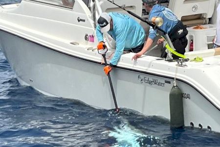 Nuevo éxito de la Scientific Angler Tagging Tour Santa Pola con diez atunes marcados para su seguimiento científico