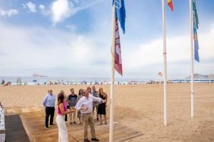 Las playas de Benidorm ya lucen los distintivos de calidad obtenidos tras superar las auditorías más exigentes