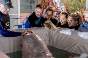 Operación 'Beluga': Salvan a dos animales de la guerra de Ucrania y los traen a Valencia